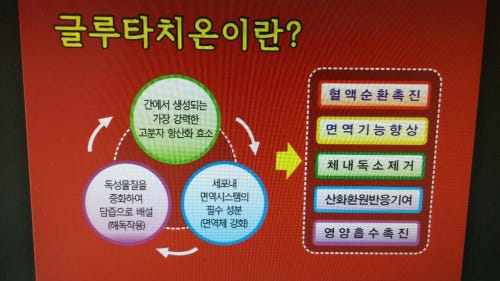 백옥화장품 이미지