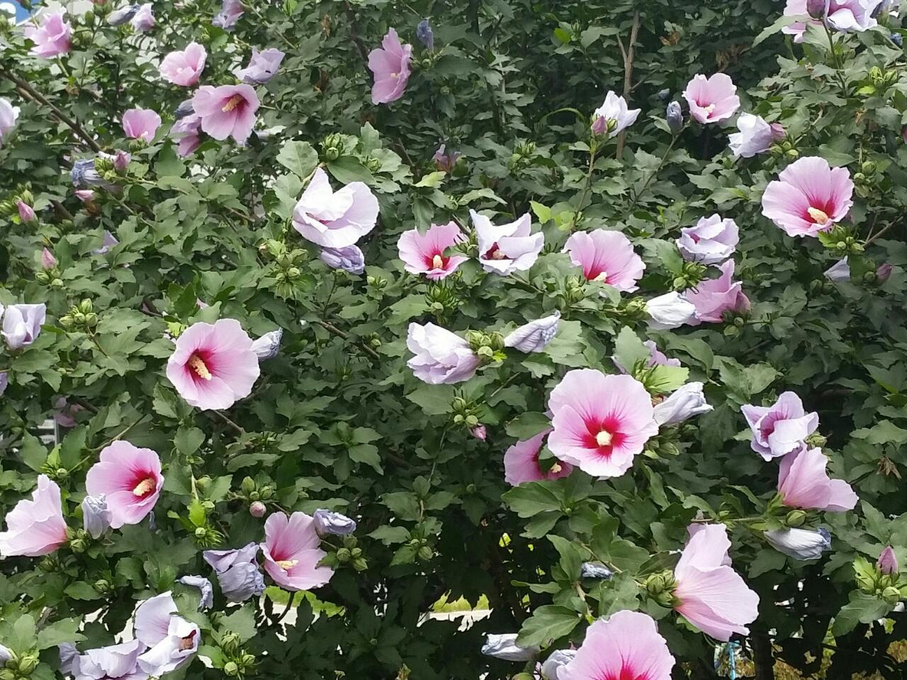 Pics That Start With W