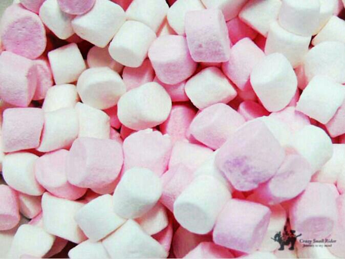 슈퍼시크릿 더빙팀 BAND