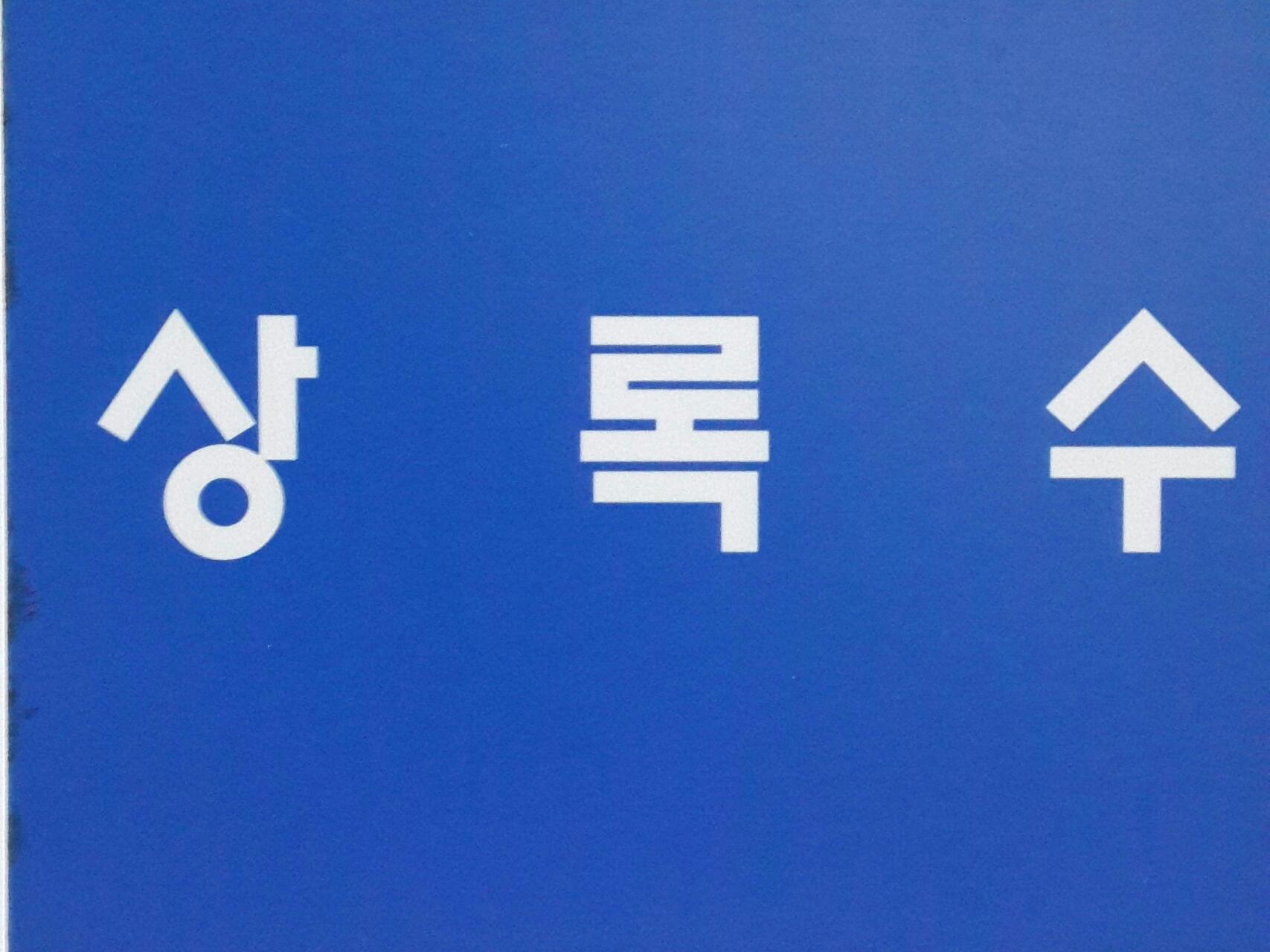 Green ever tree BAND