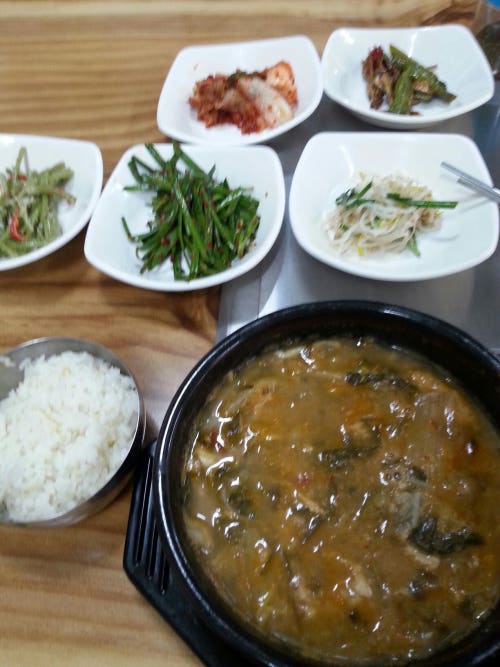 남강민물장어 이미지