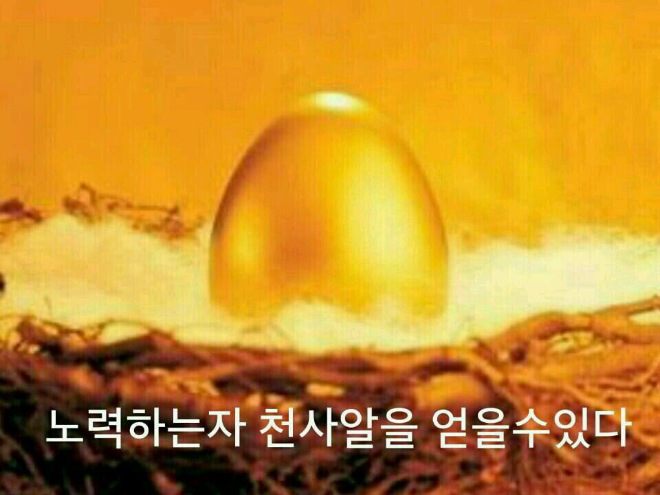 ♥해피투어♡더리치클럽♥명품A다ADA+WADA월드에이다=황금요술램프♥해피그룹 | 밴드