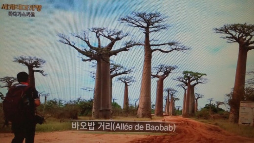 보물PC 이미지