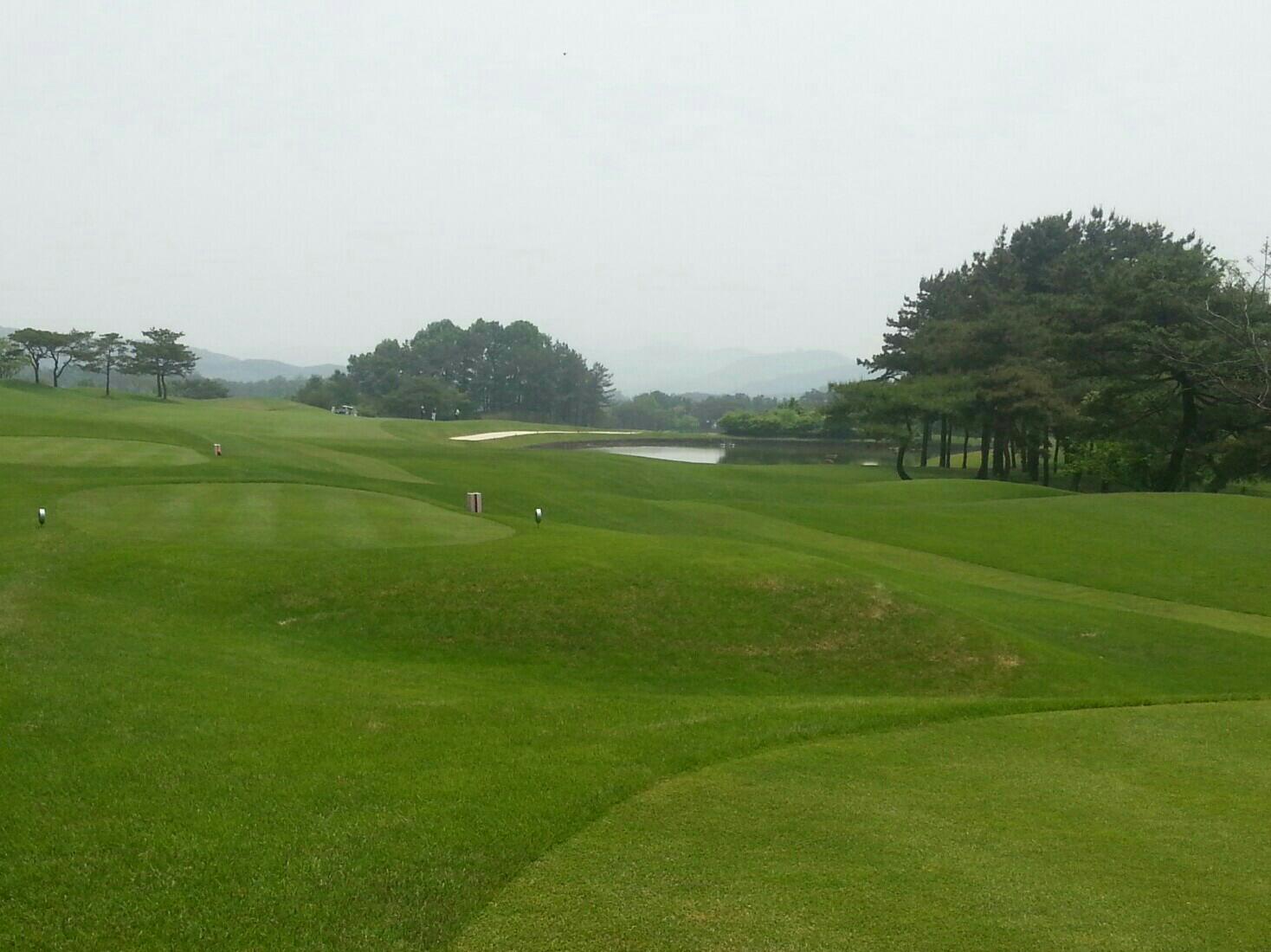 강동구 ASL golf BAND