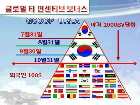 와우글로벌 이미지