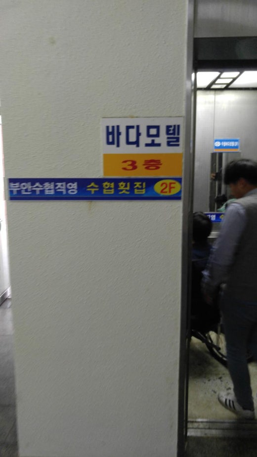 수협직영횟집 이미지