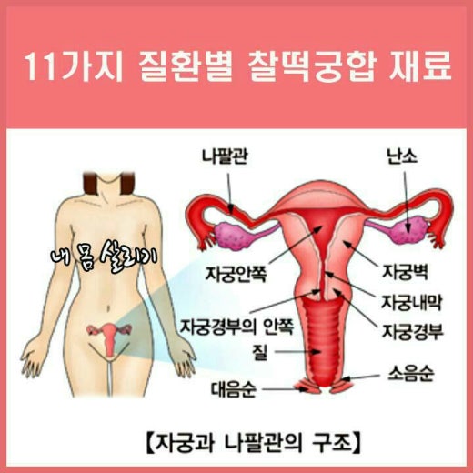 찰떡궁합 이미지