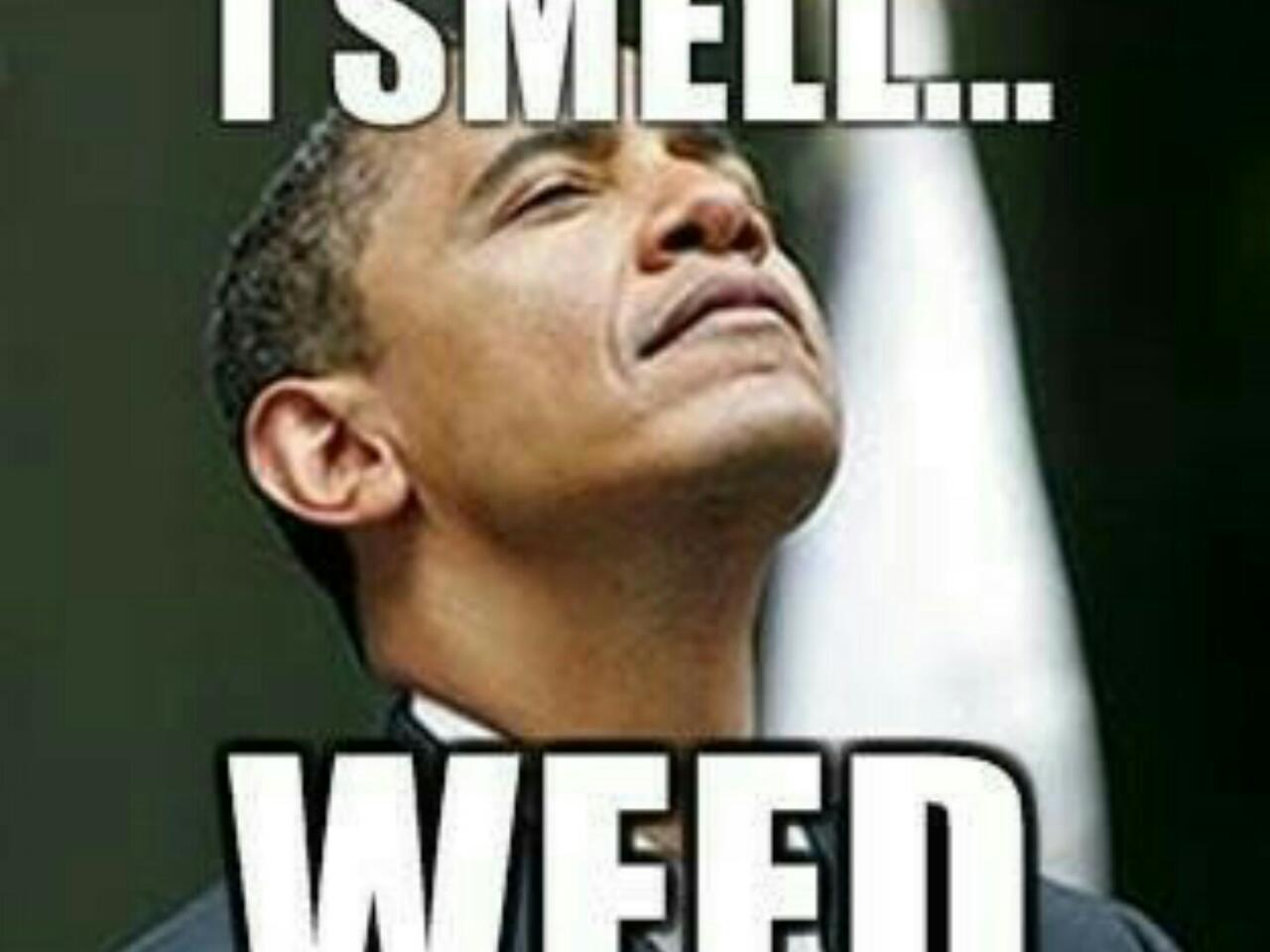 Smoking loud club | BAND, image size:1280x960