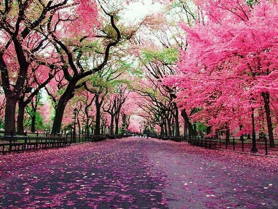 和歌山 日本語 BAND