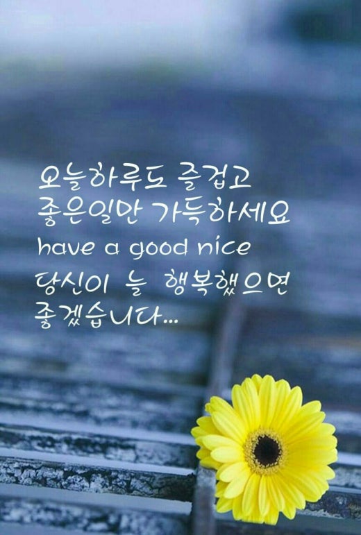 킹스타당구클럽 이미지