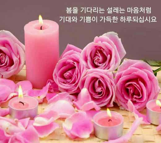 소피스트 이미지