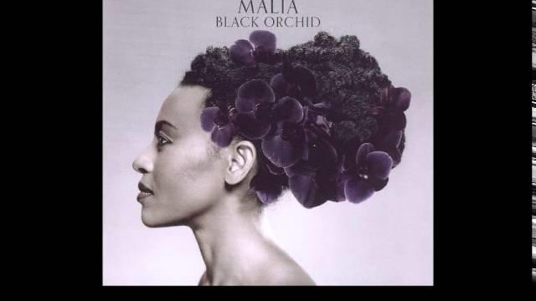 Malia Black Orchid