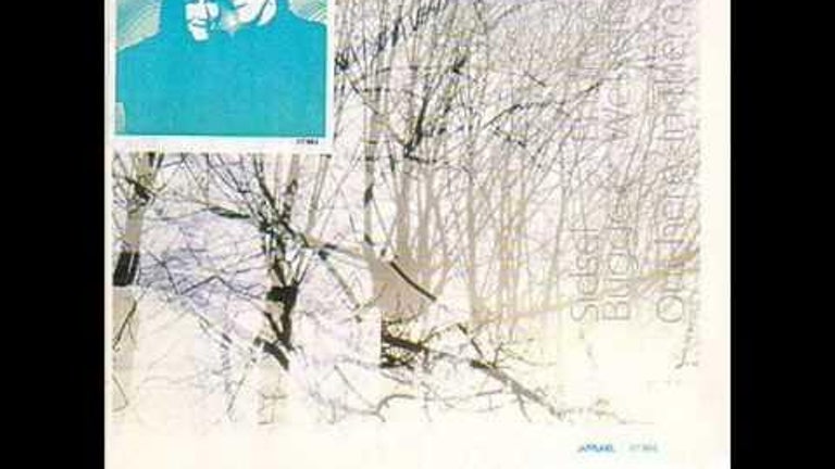 Sidsel Endresen & Bugge Wesseltoft: Birds