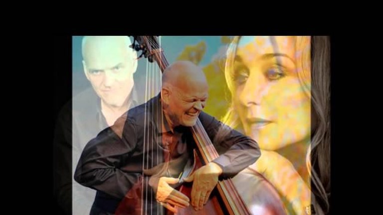 Lars Danielsson - Best Of (Jazz Collection)