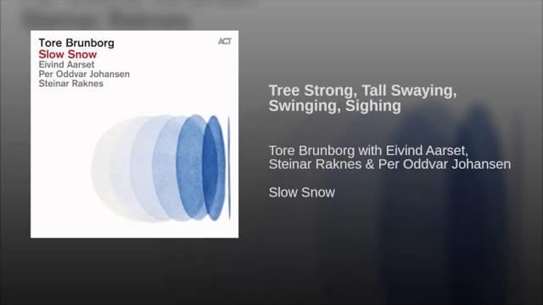 Tree Strong, Tall Swaying, Swinging, Sighing