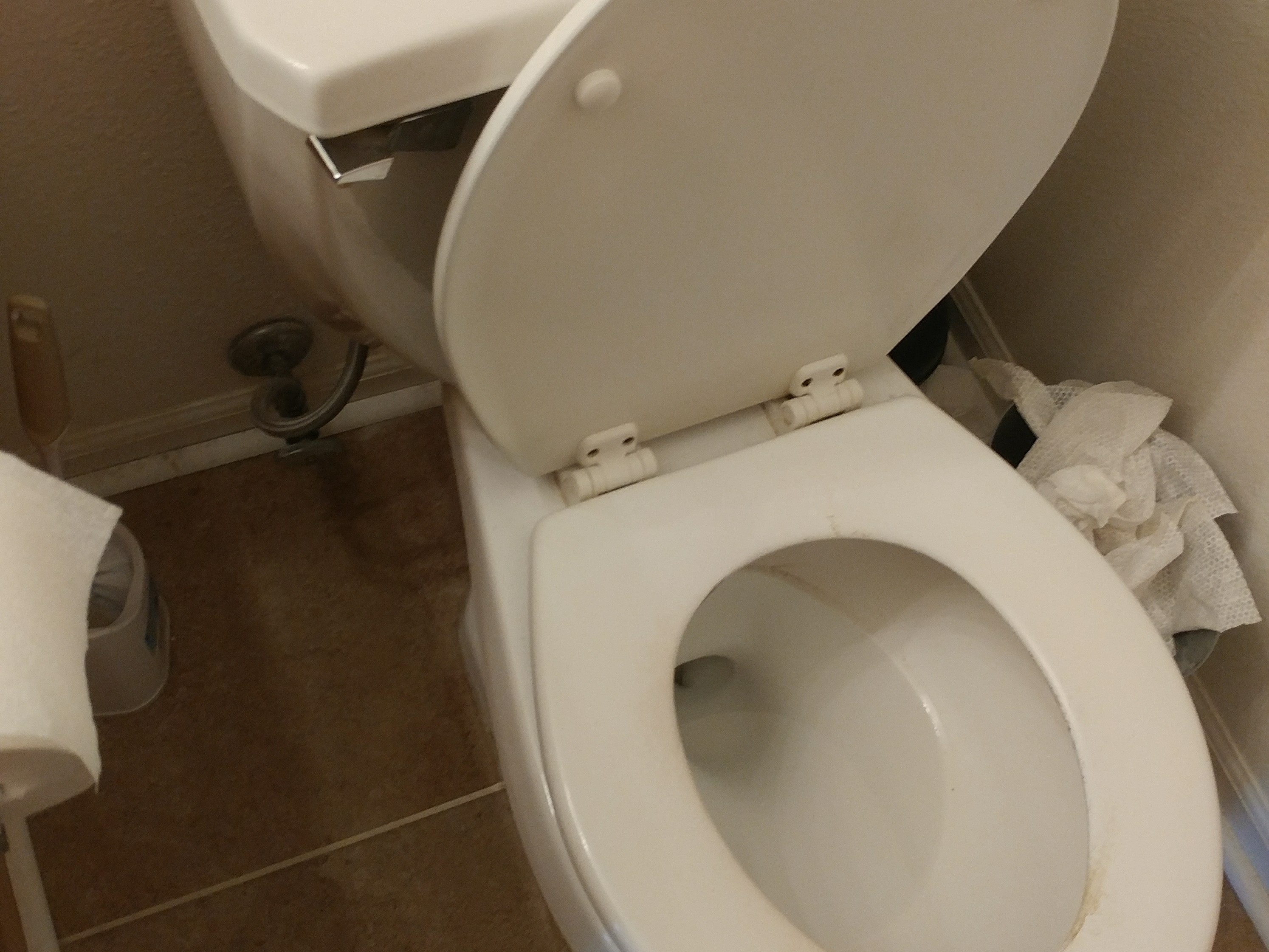 higher toilet ? toilet runs BAND