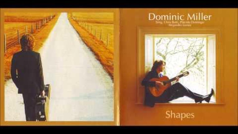 Dominic Miller [Feat. Sting] - Shape of My Heart