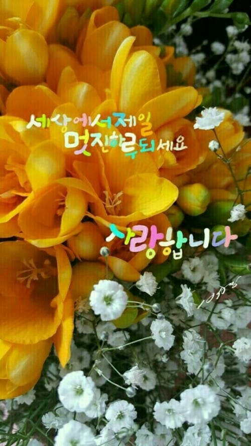시문 이미지