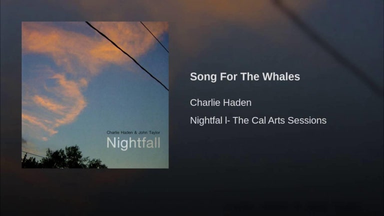 Song For The Whales