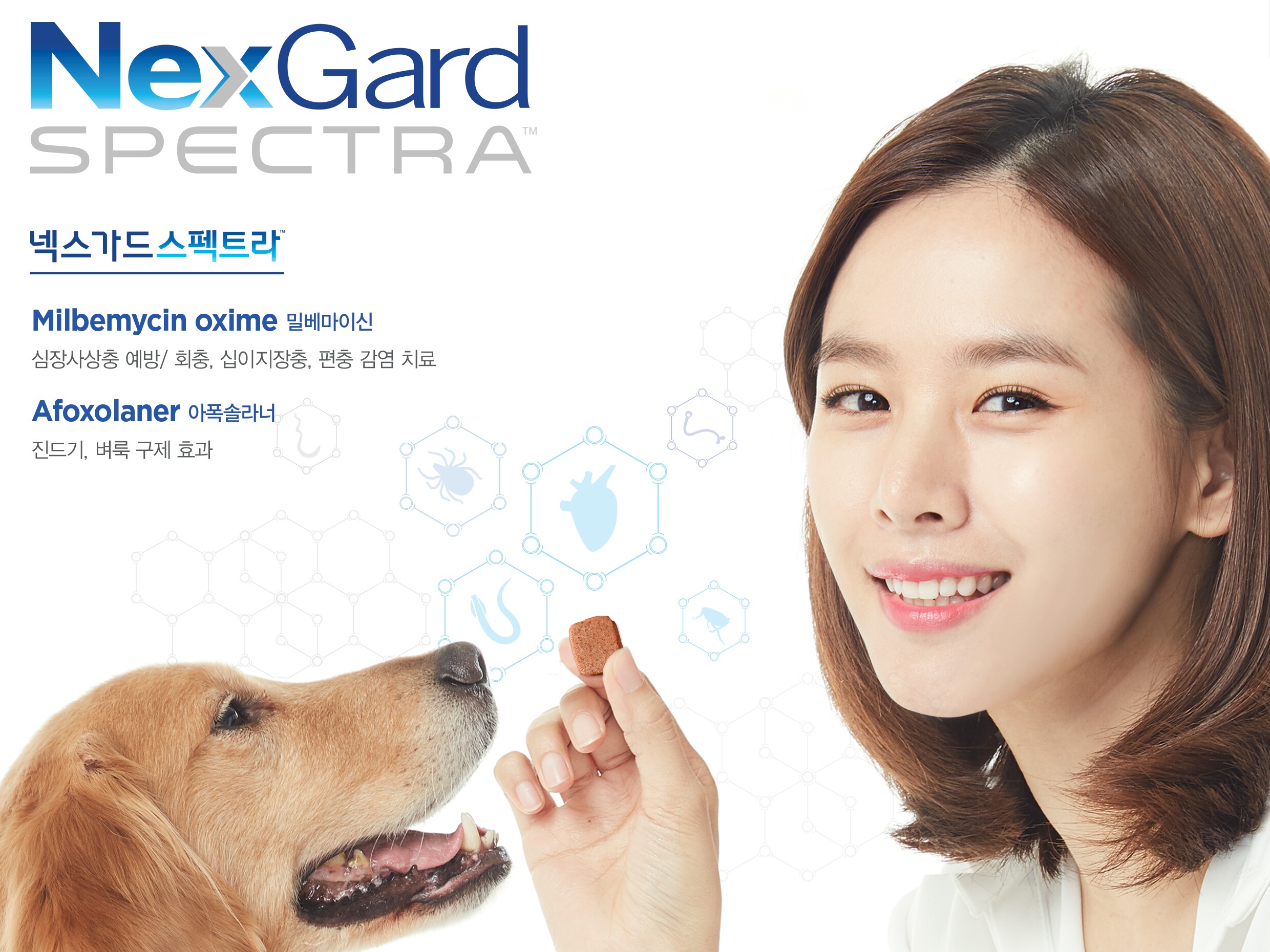 넥스가드 스펙트라(Nexgard Spectra) | BAND