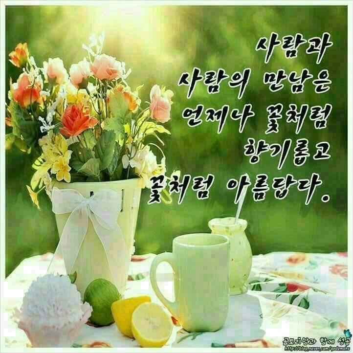 40.50대의 진솔한 이야기.좋은글.시.영화.여행.인연.음악.친구.행복.중년.책.쉼터.나눔 | 밴드 다시 돌아올 수 없는 인생  세월이 빠르다는 것은... 