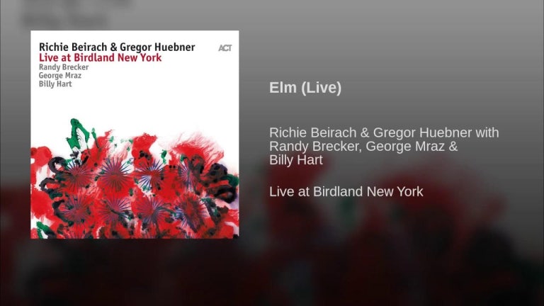 Elm (Live)