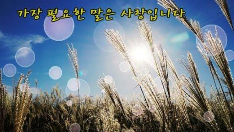 [좋은글 & 힐링글 영상글] 가장 필요한 말은 사랑입니다 healing music & poem