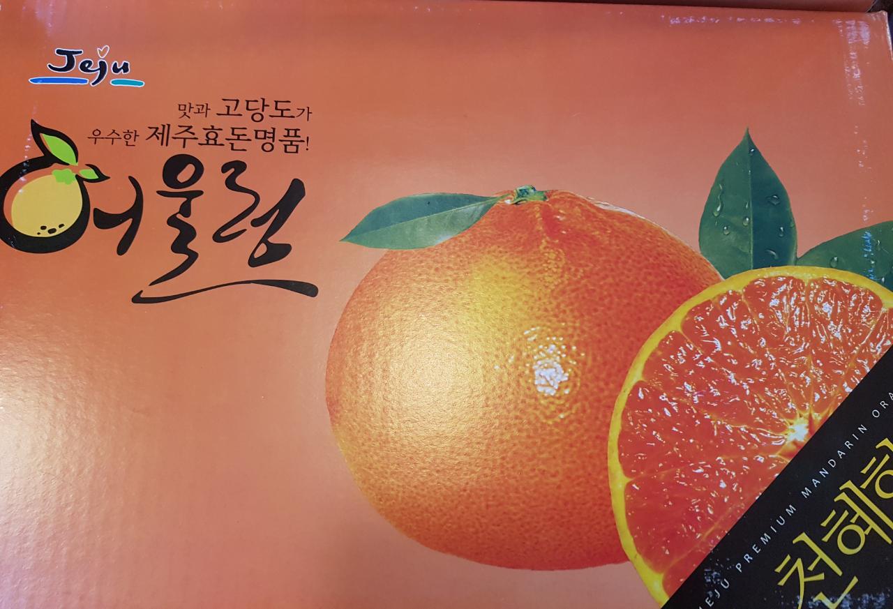 sun-fresh-market-band