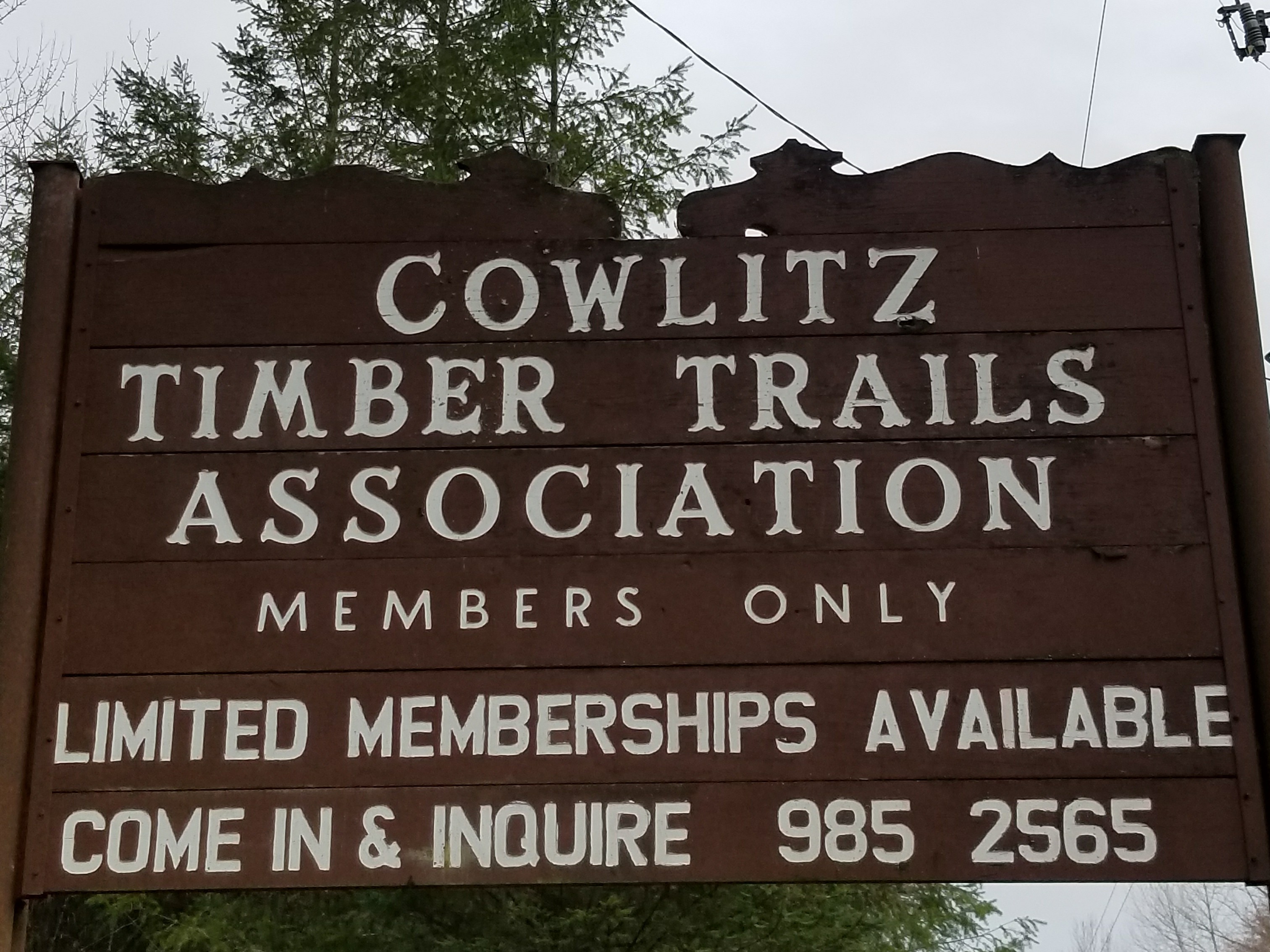 Cowlitz Timber Trails BAND
