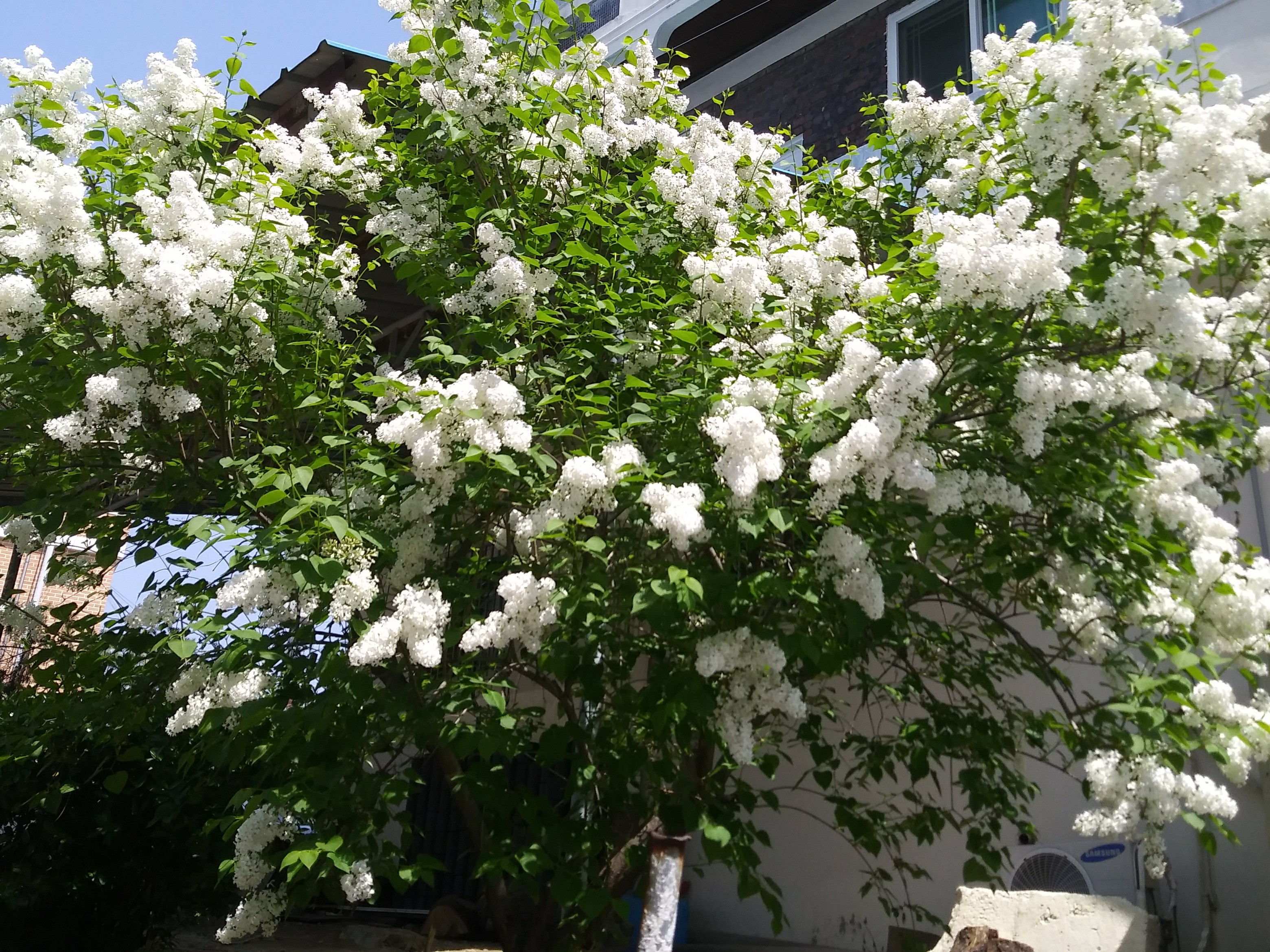 뚱남\u0026녀의시대 ♥️(전국) | BAND