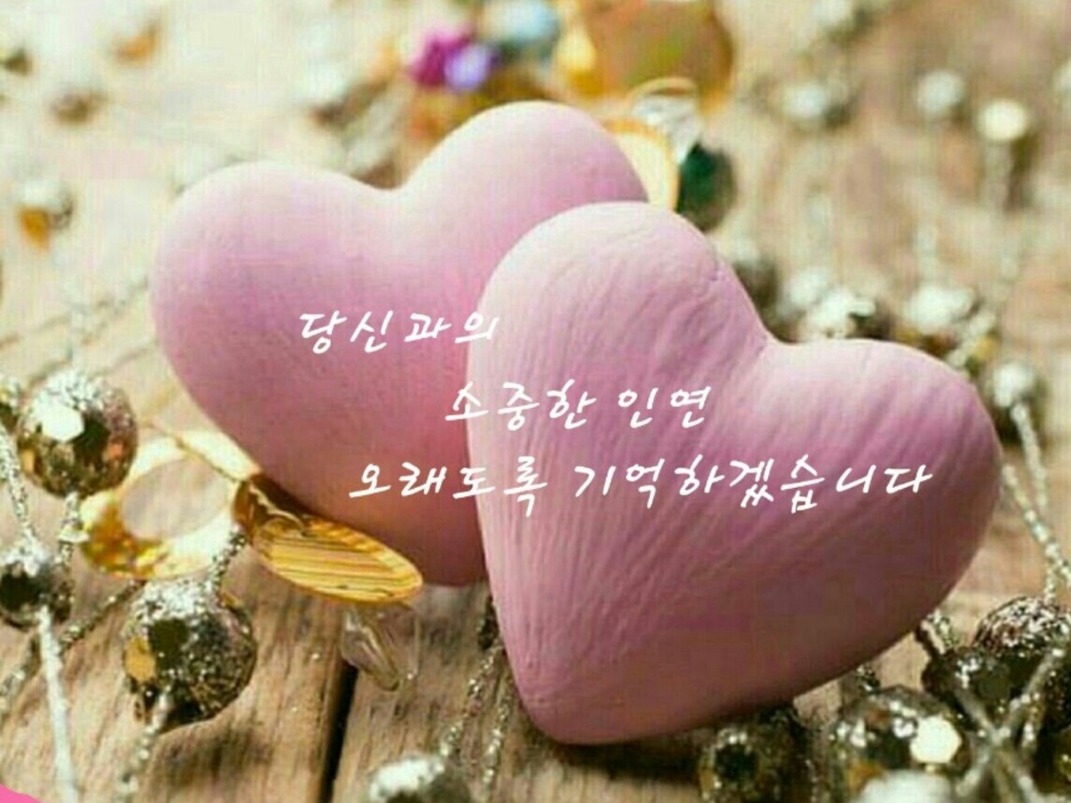 73 대구경북 우(牛)리끼리 | 밴드