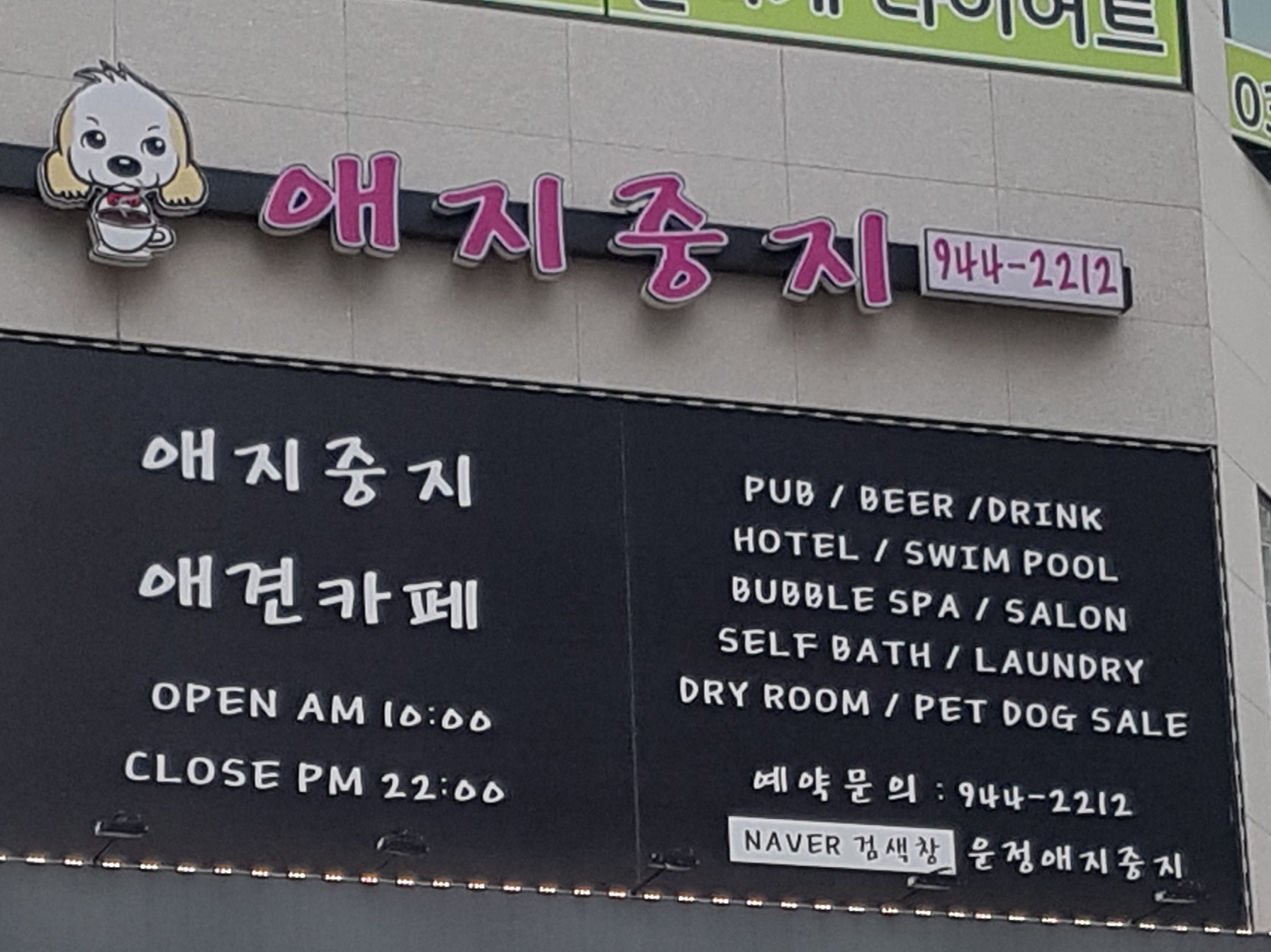 애지중지애견카페 | 밴드
