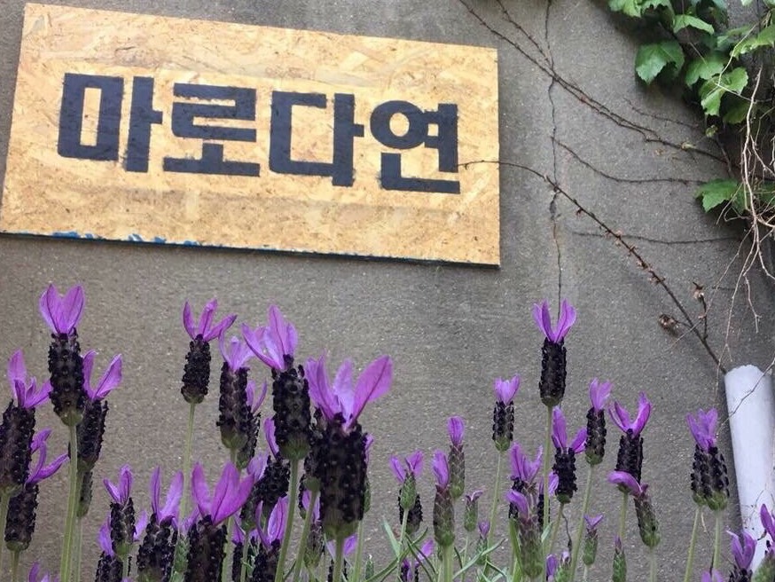 마로다연 | 밴드