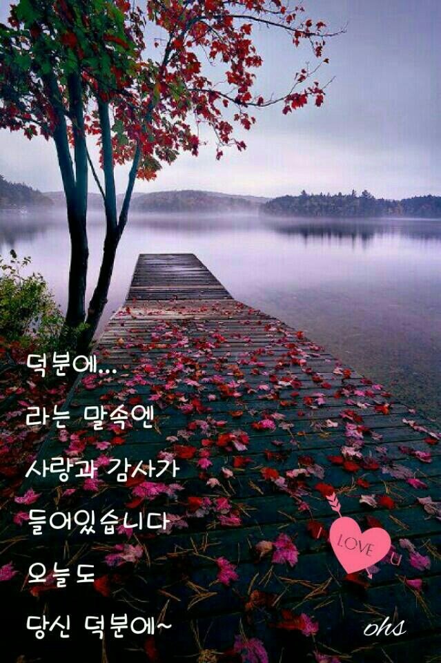 b_6e8Ud018svc1o372x6ckwuef_s953du.jpg