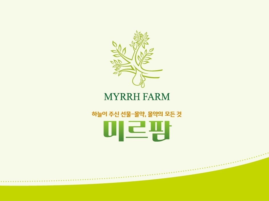 (공식) 미르팜 | 밴드