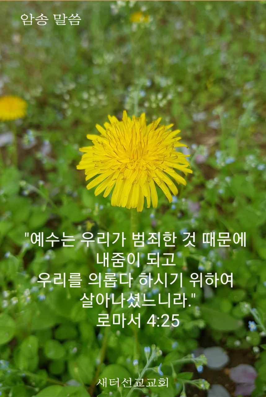생명의 빛 LAMP BAND