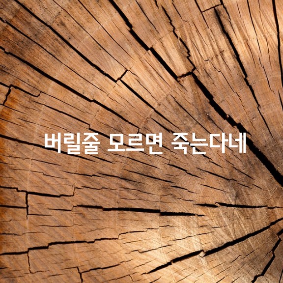 2_b0bUd018svcdys6s35887ry_h8iiw5.png
