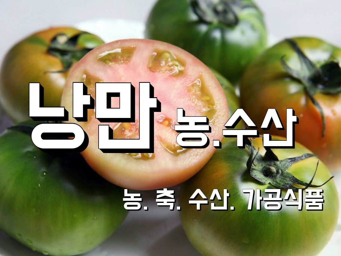 낭만 농수산 | 밴드