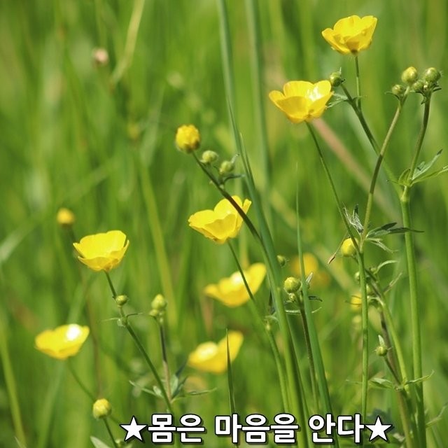 a_09cUd018svchnoknpifb87c_fw3cgr.jpg