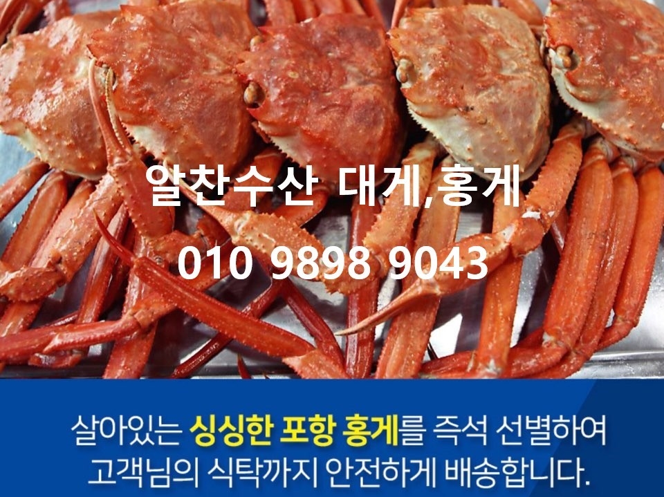 알찬수산 대게,홍게 각종수산물 | 밴드
