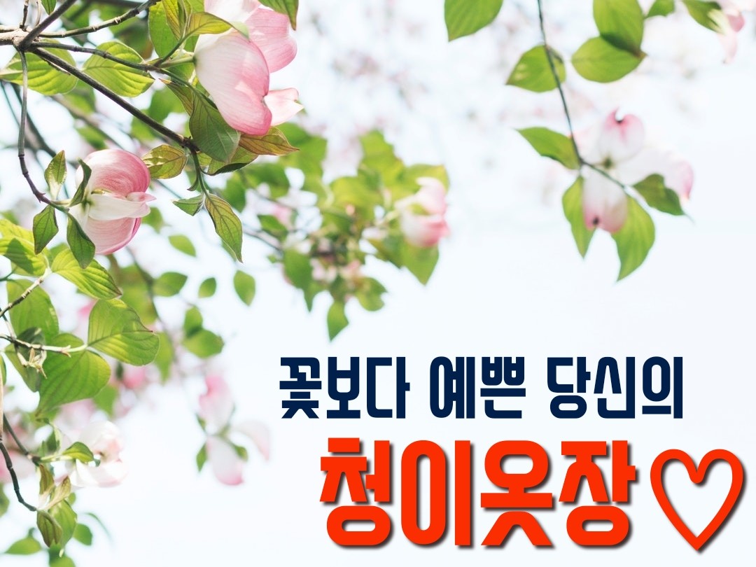 청이옷장 구제 빈티지 동대문신상 땡밴 땡처리 구제의모든것 잡화 | 밴드