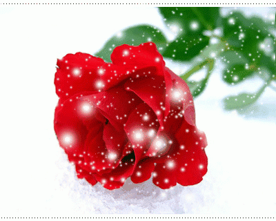 2_5e3Ud018svcqi9ayl3f6ev5_c3nmrn.png