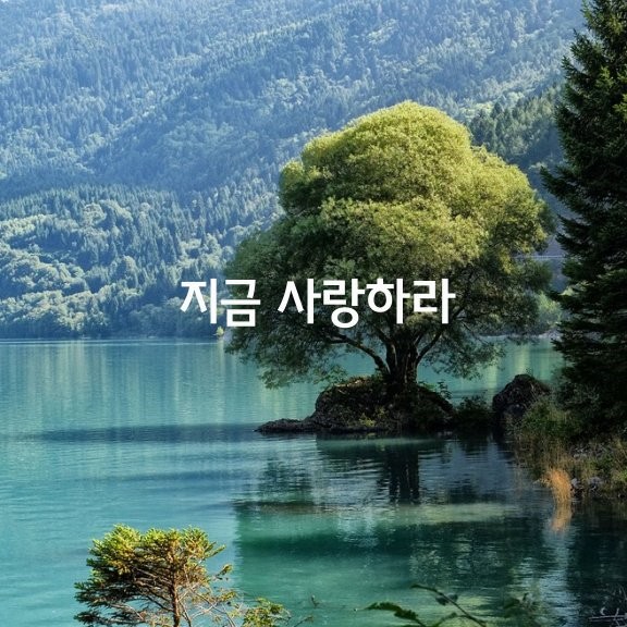 1_jgiUd018svc17yihj5d9h5h7_c3nmrn.jpg