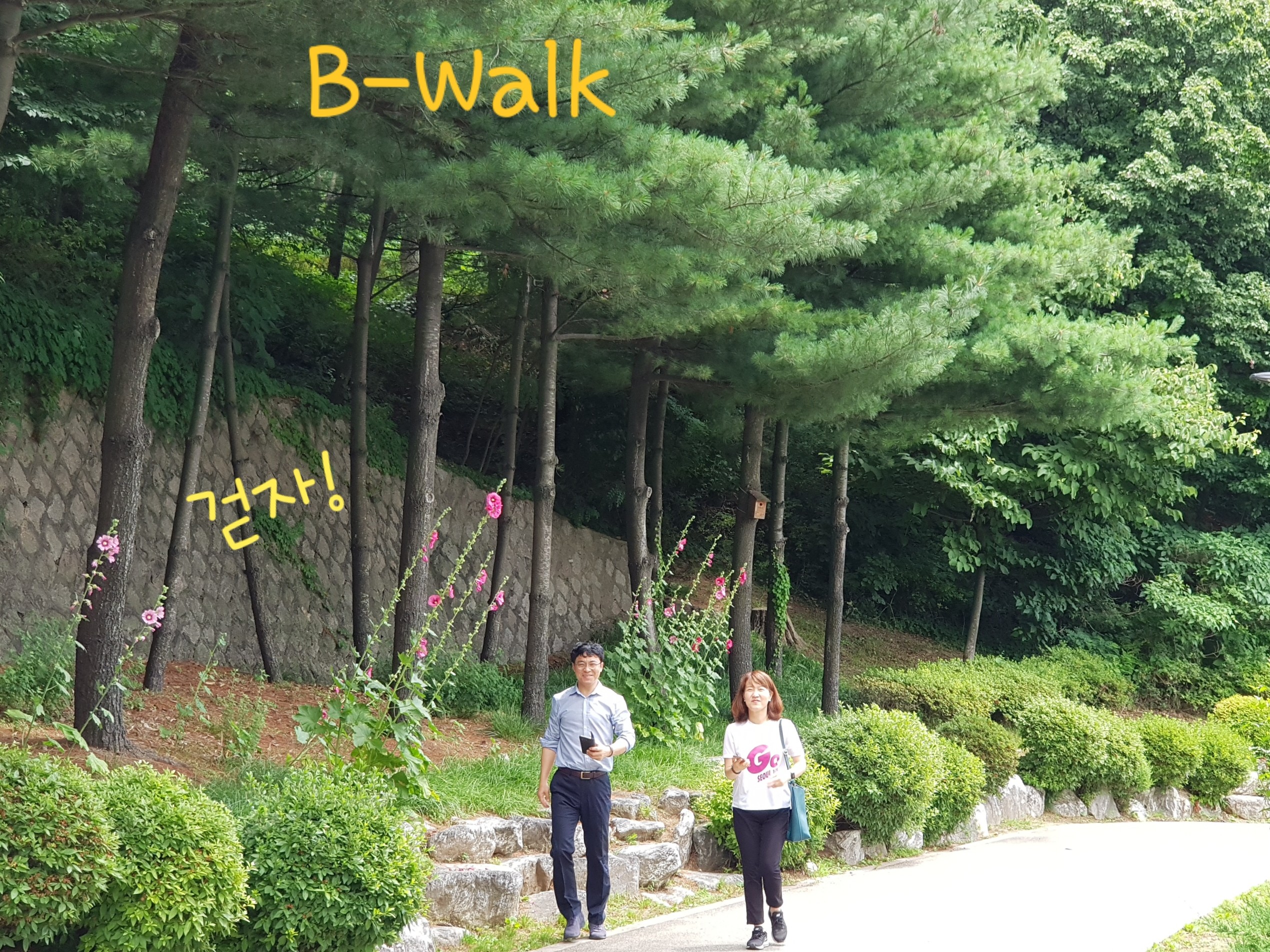 B-Walk | BAND