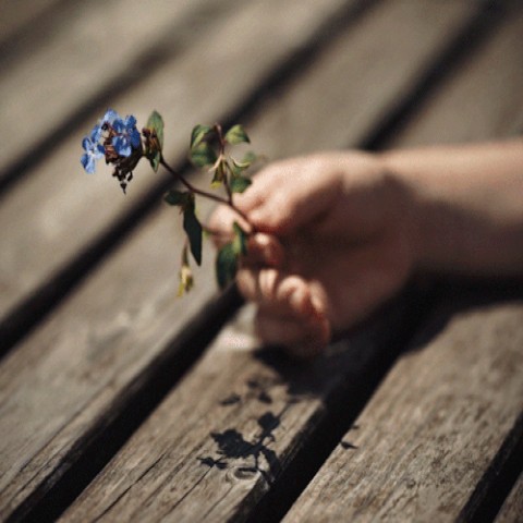8_5e9Ud018svc1sq8mqlncpiv0_c3nmrn.png