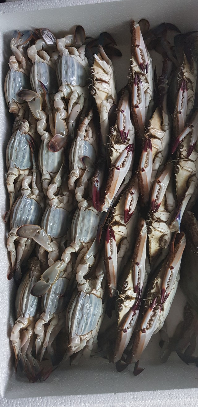 농산물직거래장터♀해피콜의5일장터♂공동구매/수산물/맛집/쇼핑/ 고구마/산지직송/사과 | BAND
