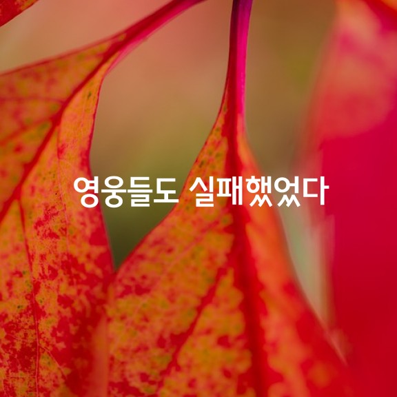 3_35fUd018svcdlo3qkvs5ory_fw3cgr.png