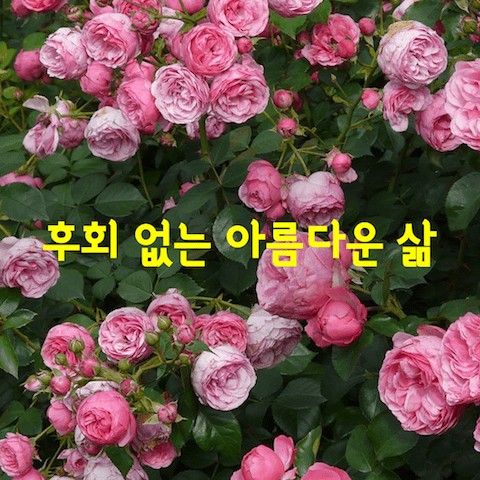 0_df3Ud018svc19m12x1qx275n_tjk5q5.png