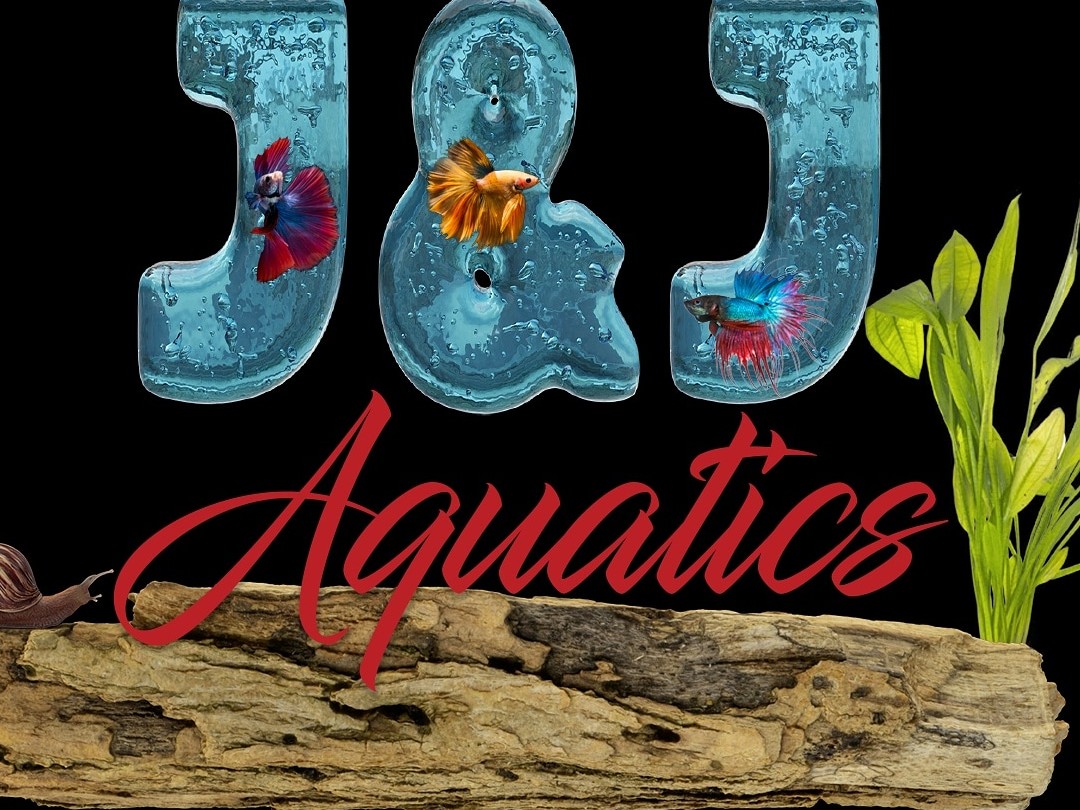 J&J Aquatics BAND