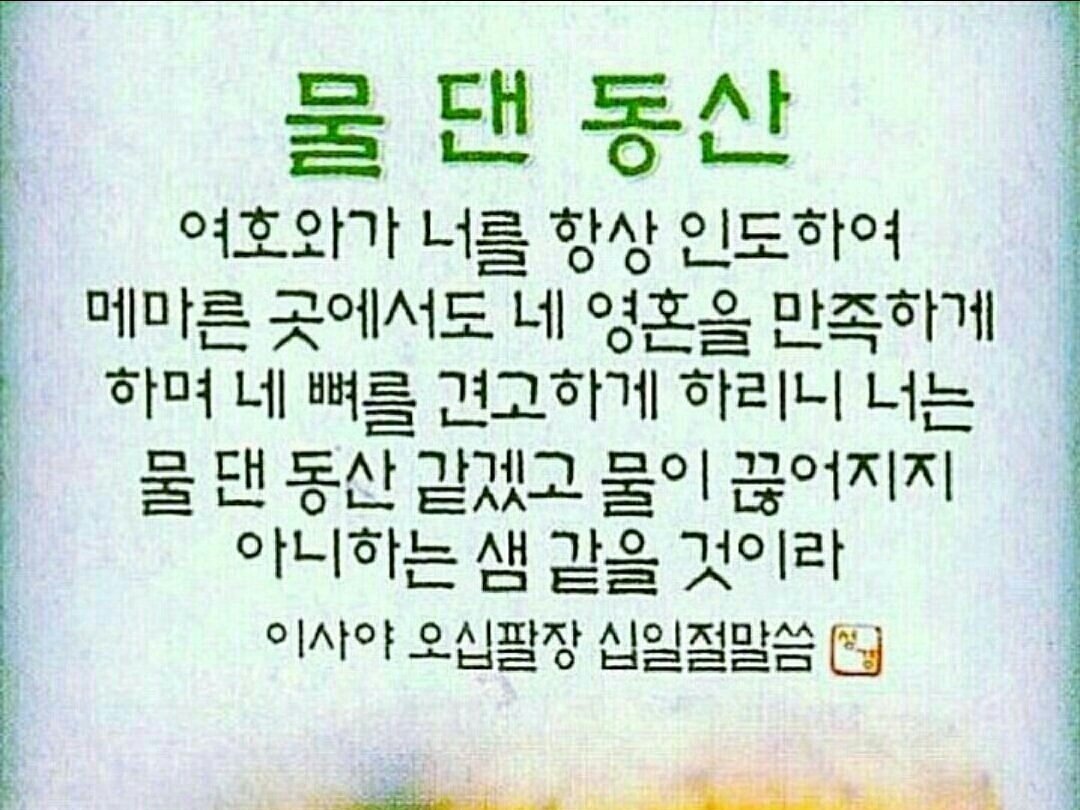 안나의집